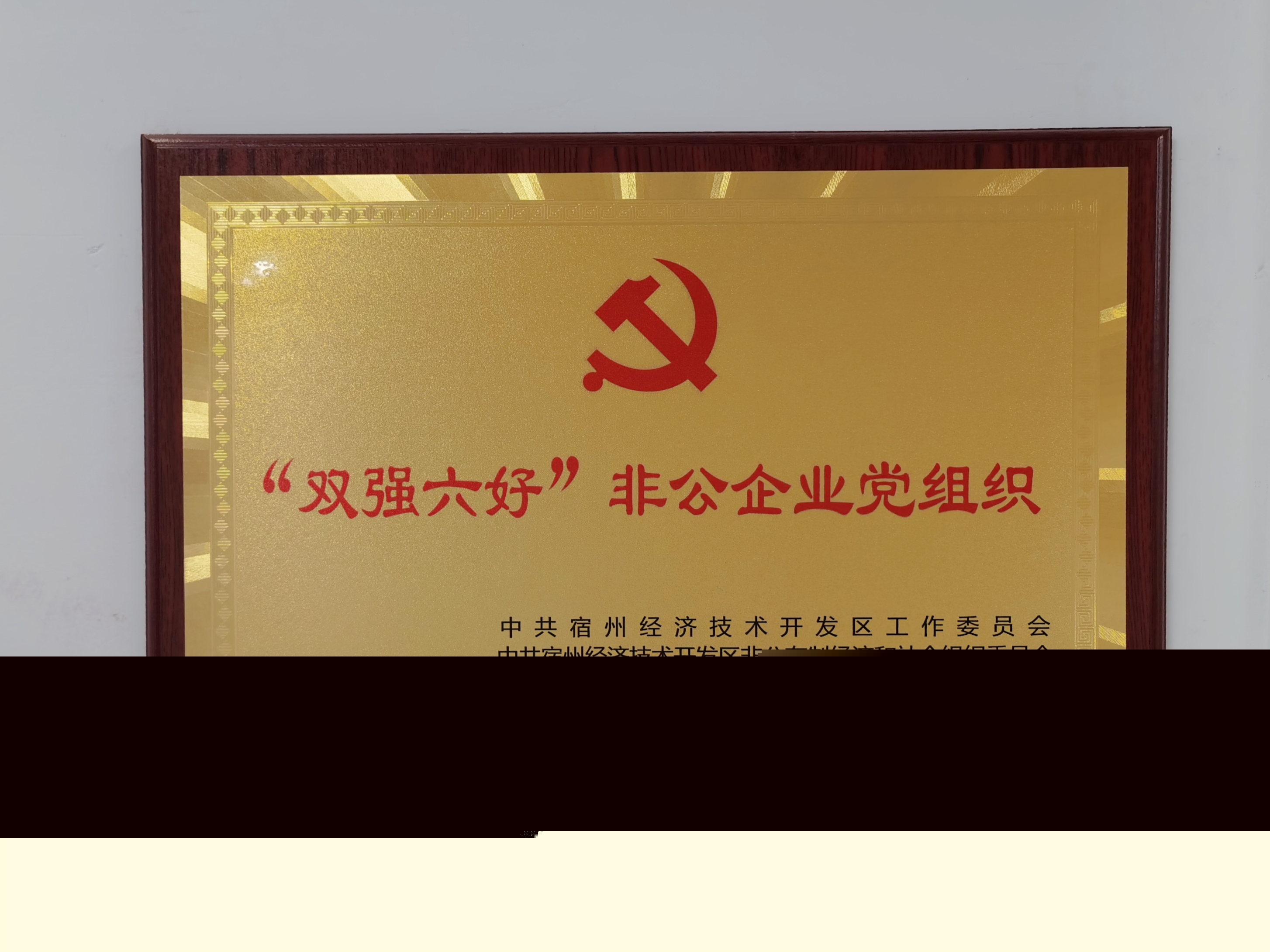 2-221220164332T5.jpg